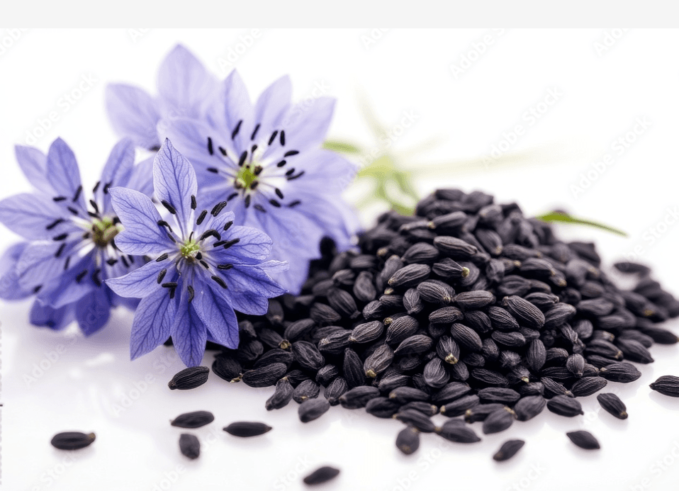 BLACK SEED OIL